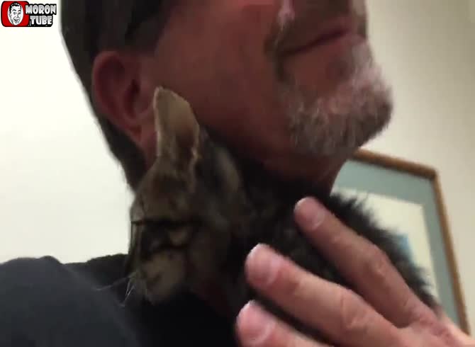 Video :To save a cat stuck in sewers, volunteers spend thirty-three hours